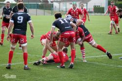 F1 : Beauvais 36-16 Langon - Photothèque